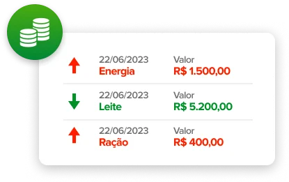 Receita e Despesa